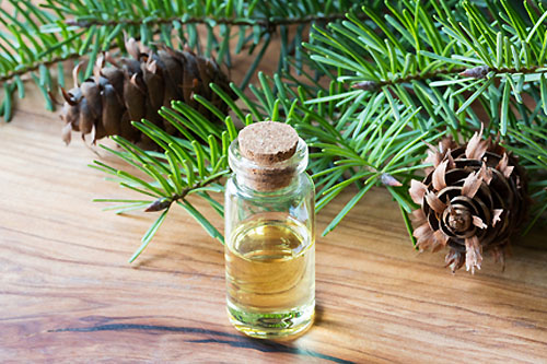 fir tree oil